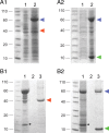 Figure 5.