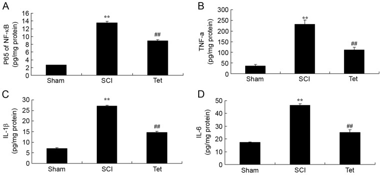 Figure 3.