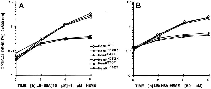 FIG. 6