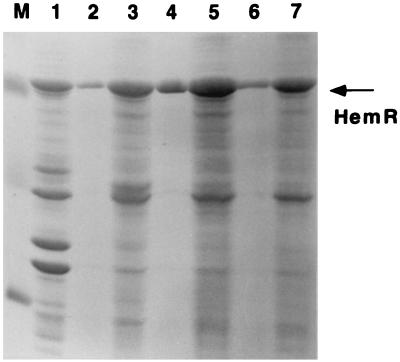 FIG. 7