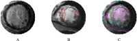 Fig 7