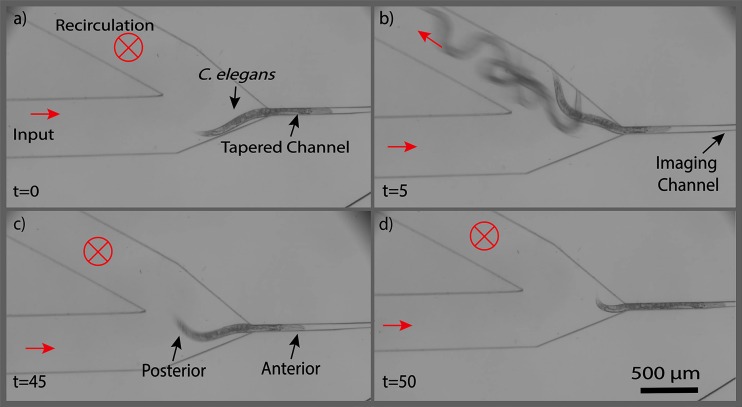 FIG. 5.