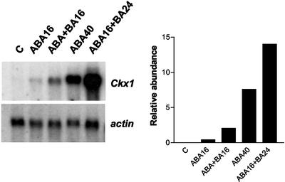 Figure 10.