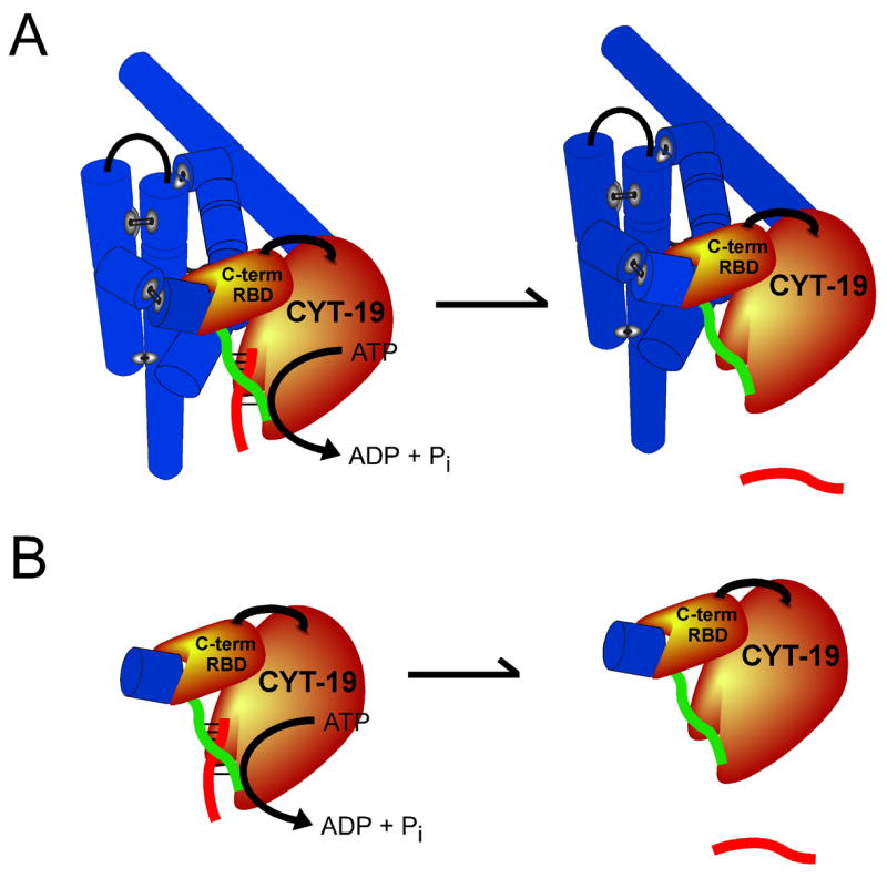 Fig. 8