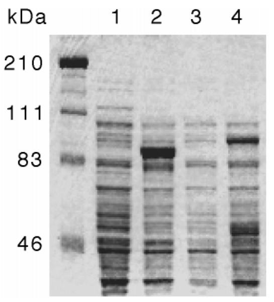 Fig. 5