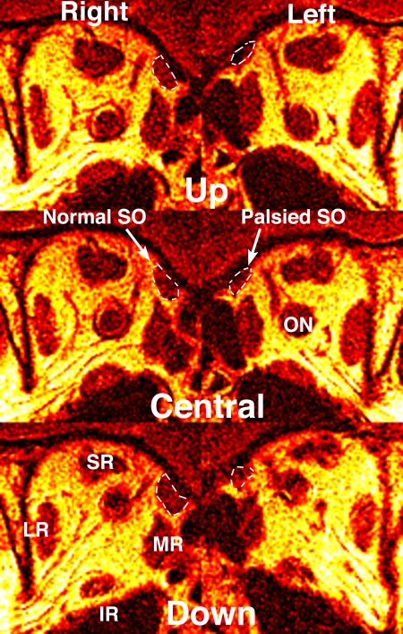 Figure 3.