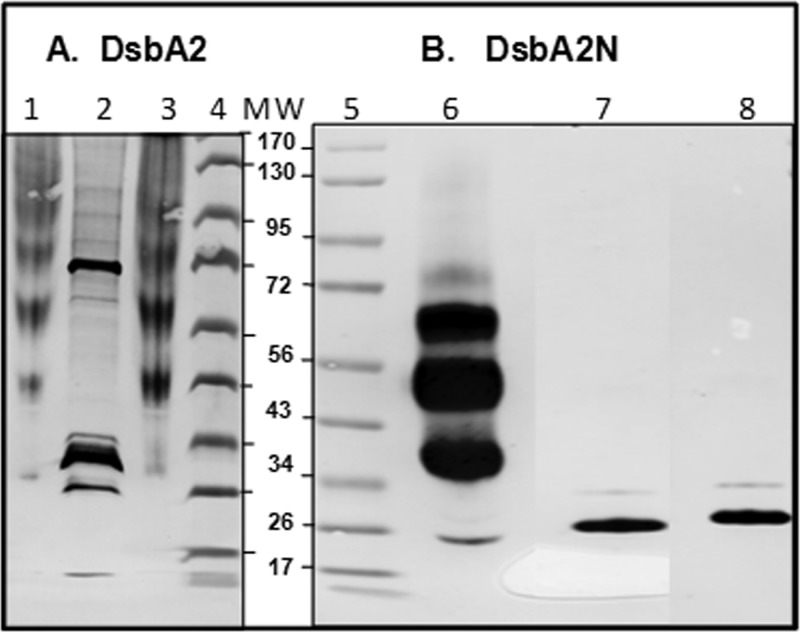 Fig 5