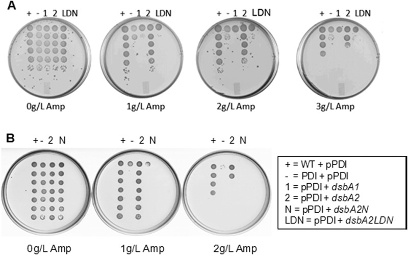 Fig 4