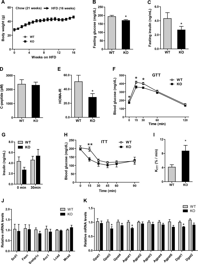 Fig. 11.