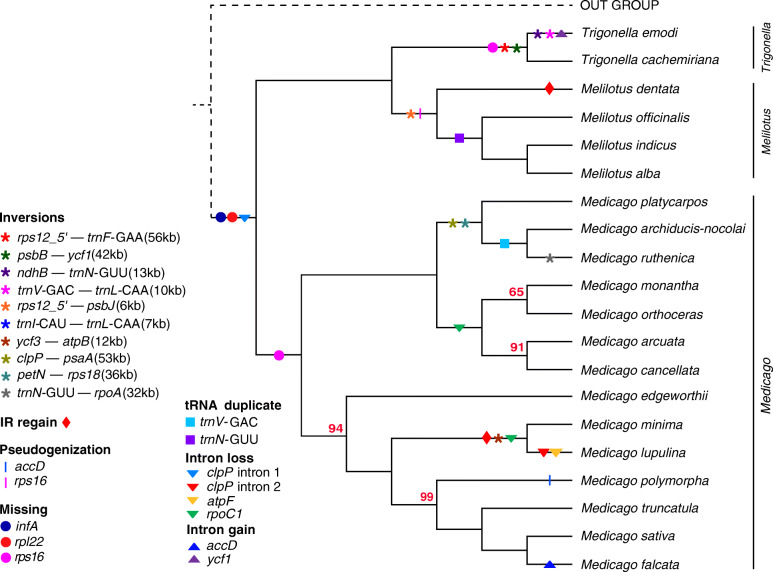 Fig. 2