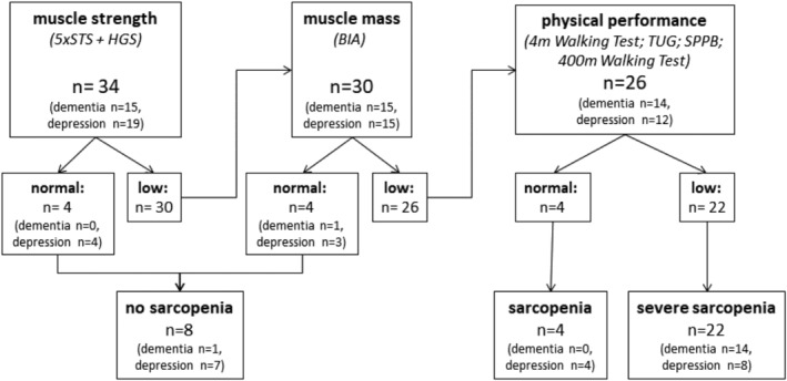 FIGURE 3