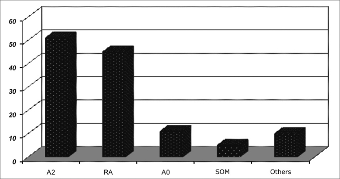 Chart 5