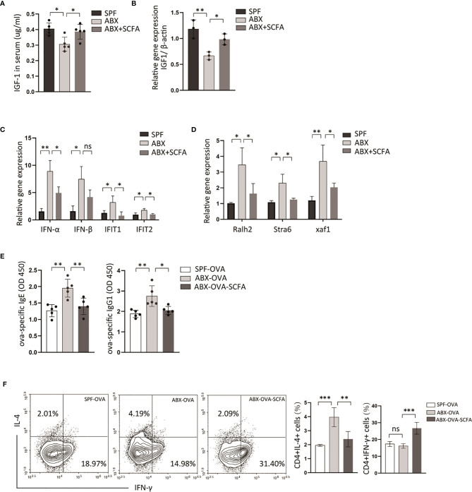 Figure 6