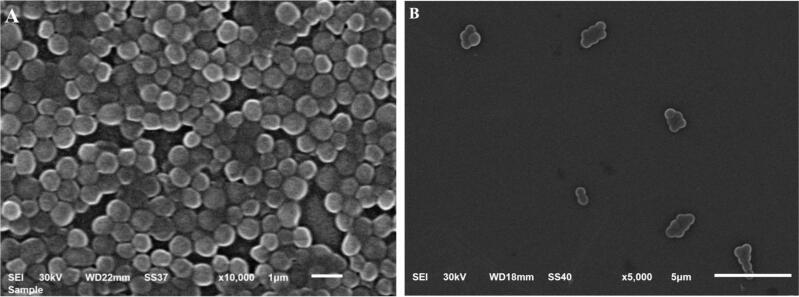 Fig. 10