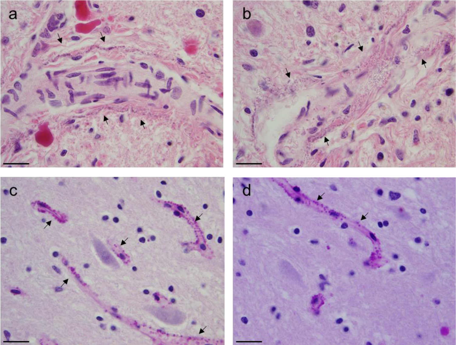 Figure 2: