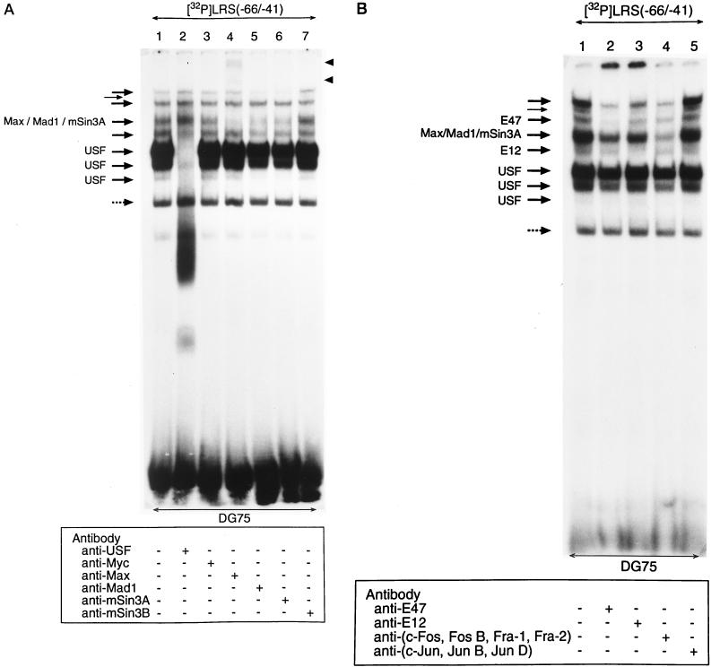 FIG. 6