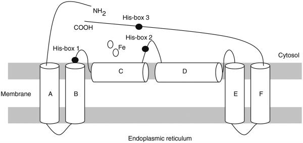 Fig. 3