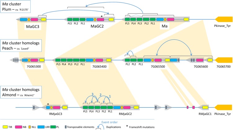 FIGURE 6