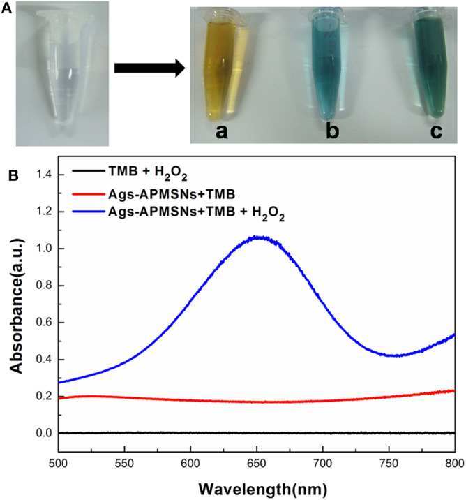 Figure 5