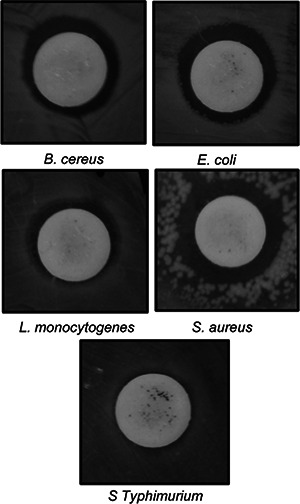 Fig. 9