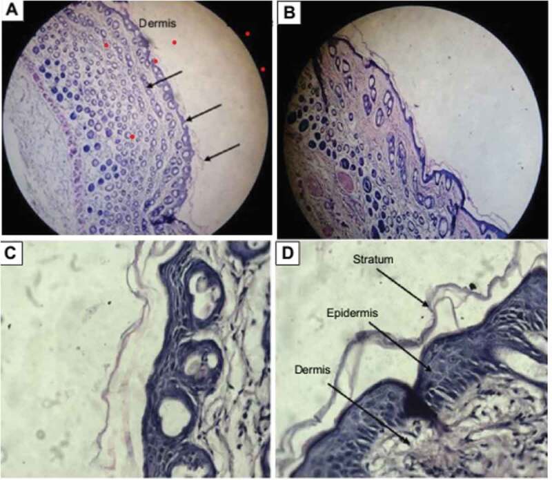 Figure 16.