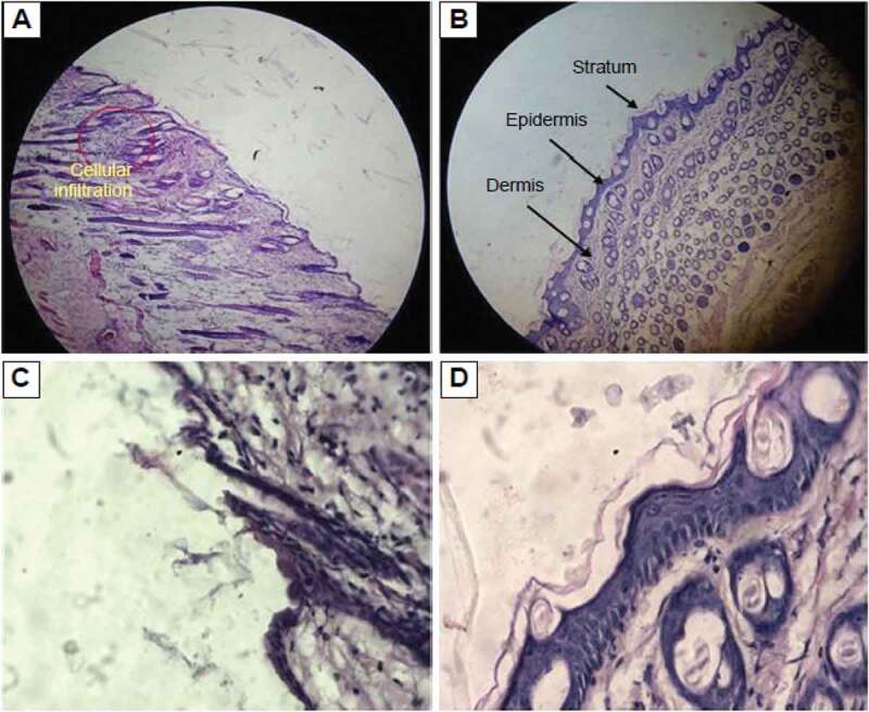 Figure 15.