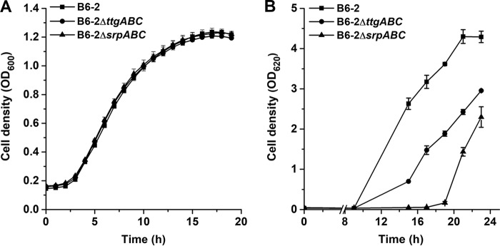 FIG 2