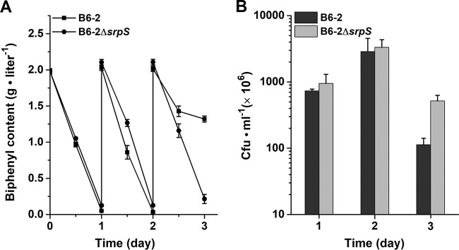 FIG 6