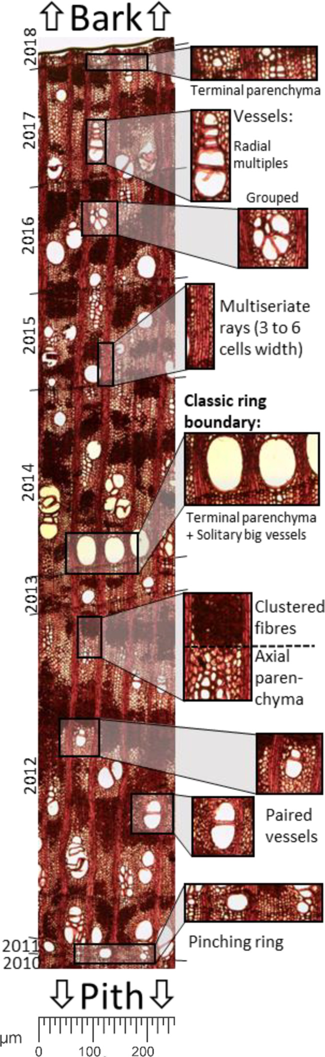 Figure 2