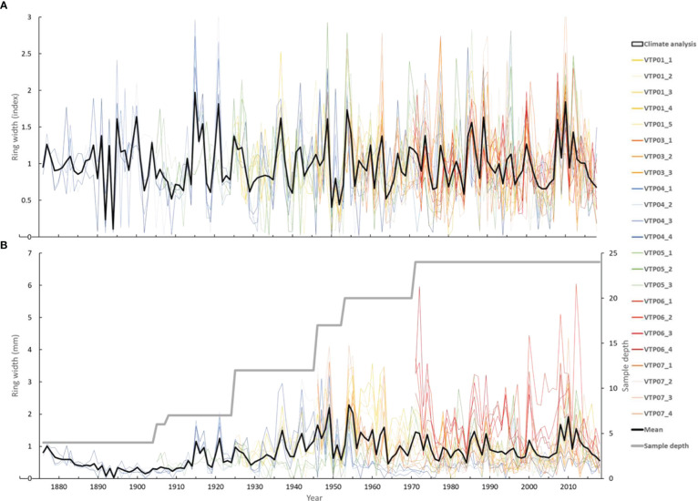 Figure 4