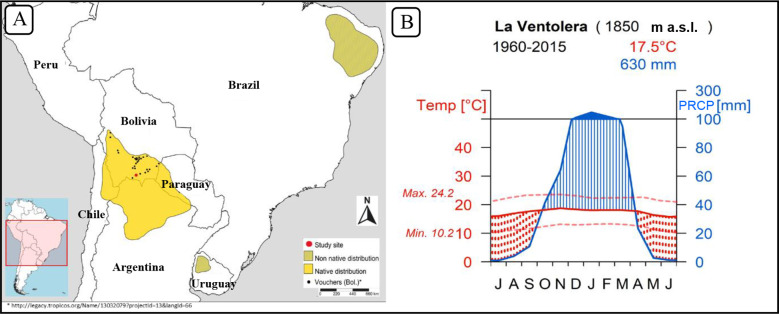 Figure 1