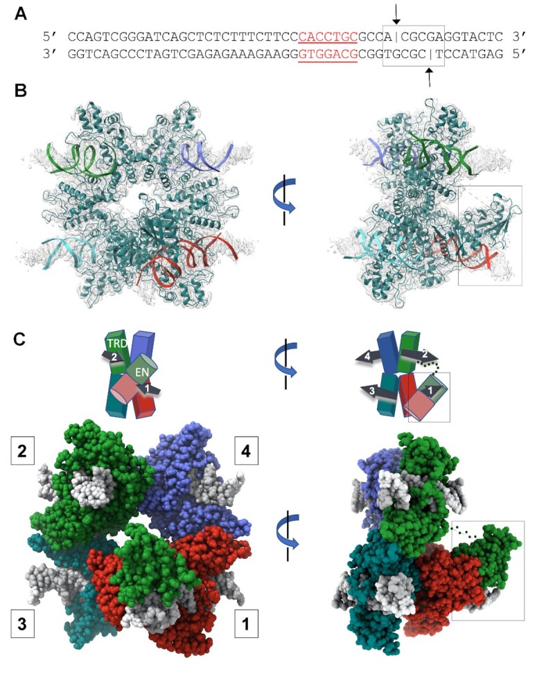 Figure 4.