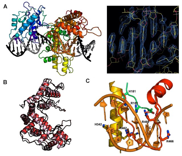 Figure 5.