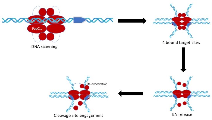 Figure 10.