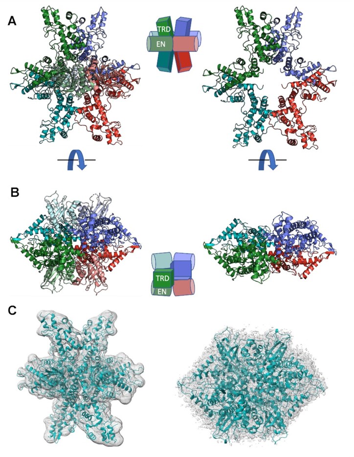 Figure 3.