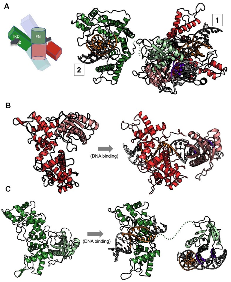 Figure 6.