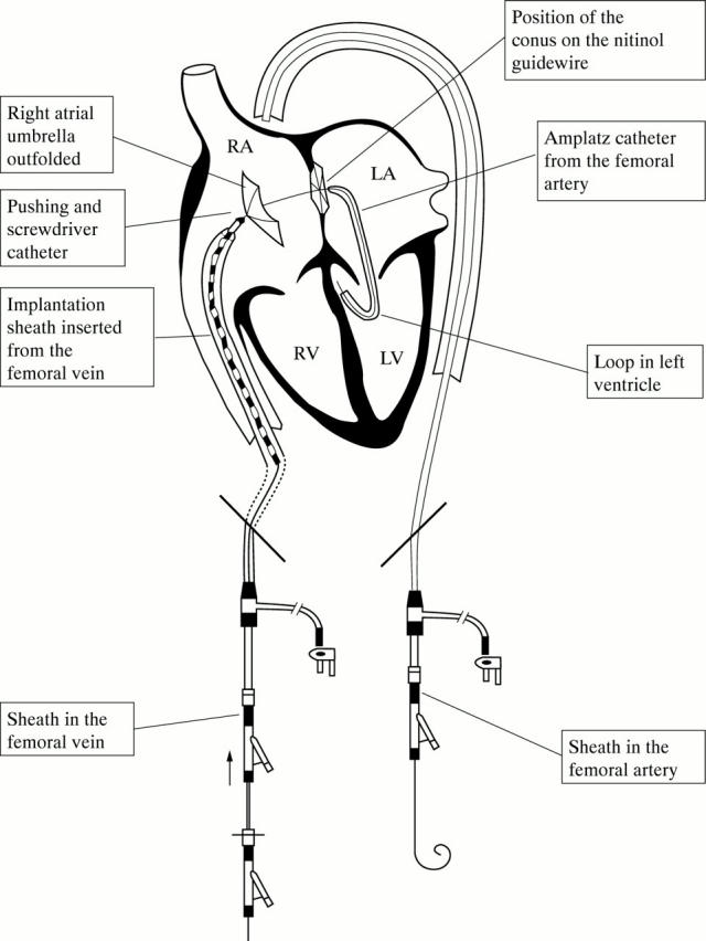 Figure 1  