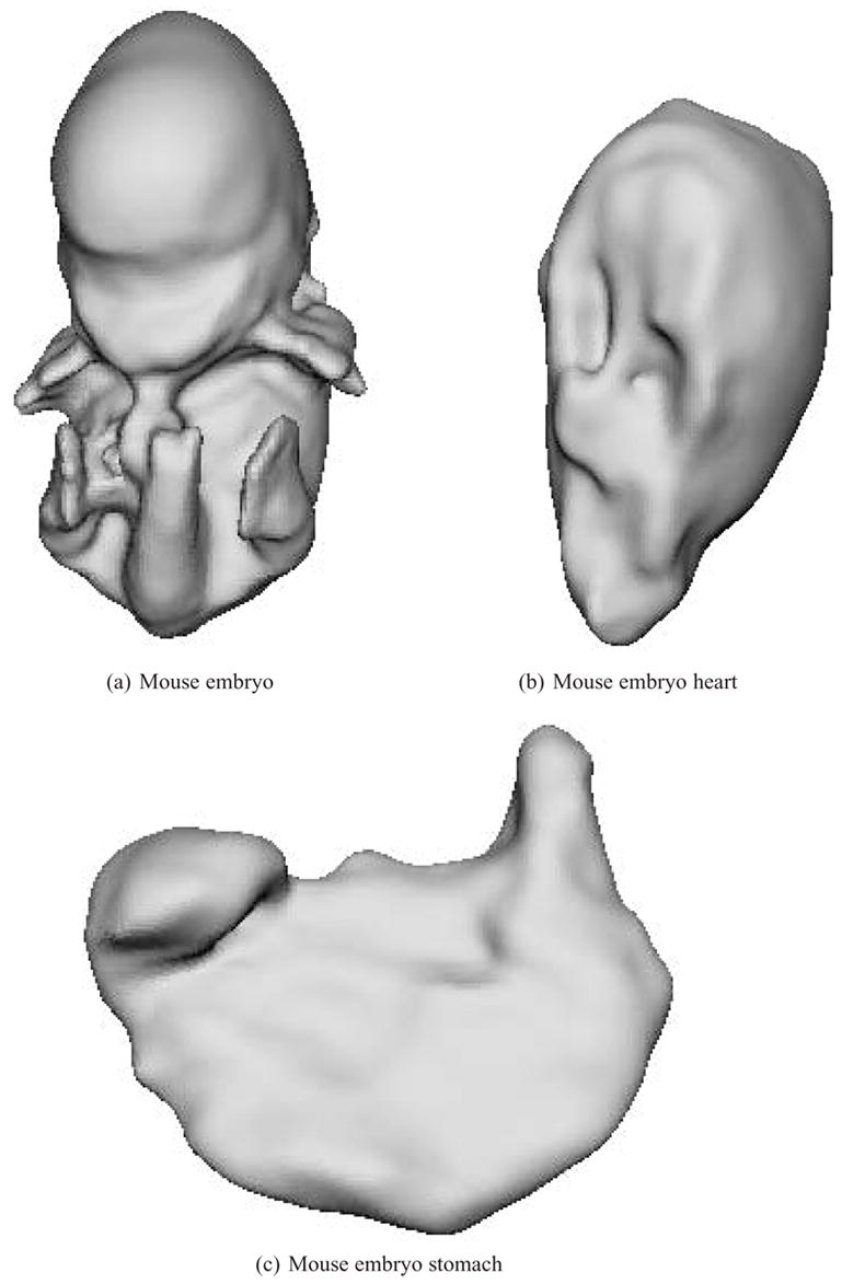 Fig. 8