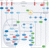 Fig. 3 |