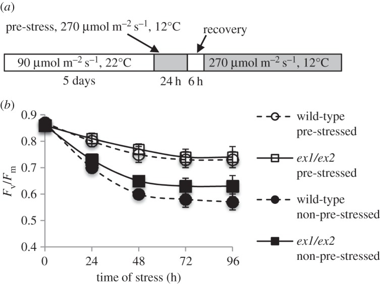 Figure 2.