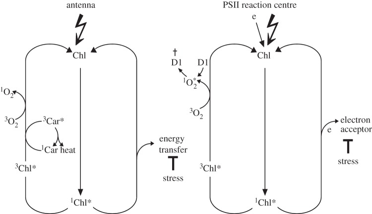 Figure 1.