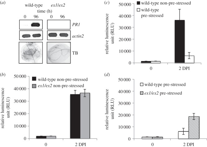 Figure 3.