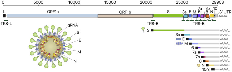 Figure 1