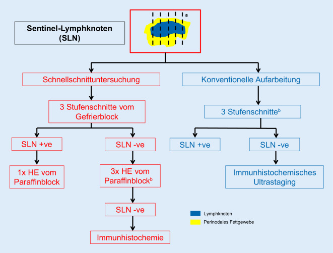 graphic file with name 292_2020_805_Fig4_HTML.jpg