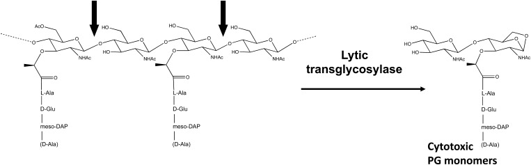 FIG. 1.