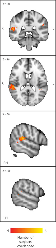 Fig. 8