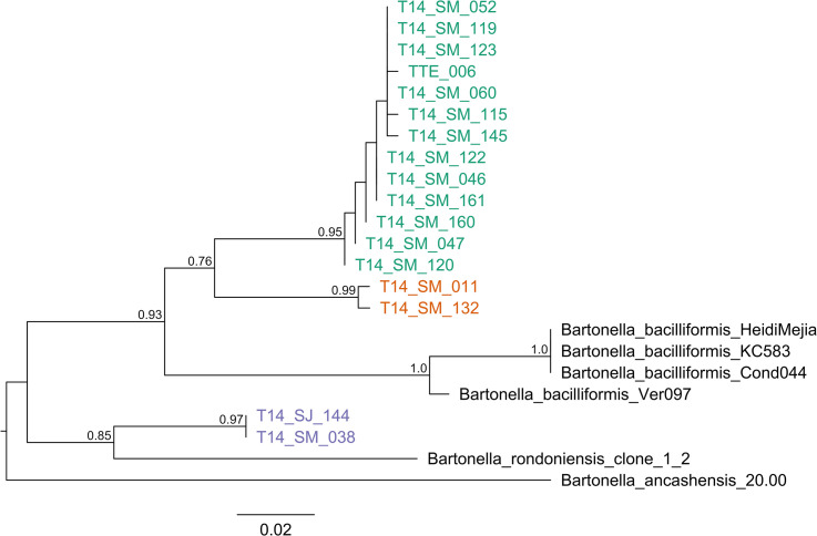 Fig 6