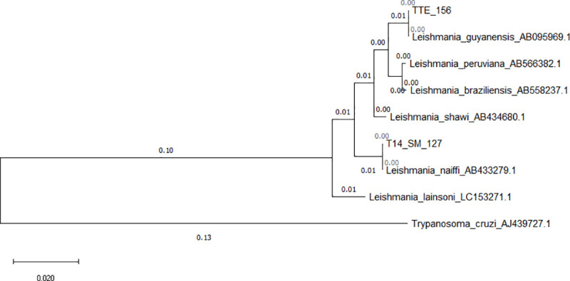 Fig 5