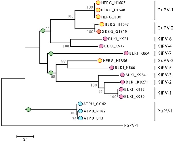 FIGURE 5