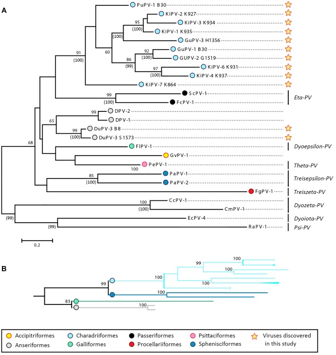 FIGURE 4